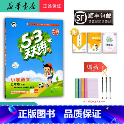 语文 五年级上 [正版] 2024秋 新版 5.3 天天练 语文 五年级上册 人教版