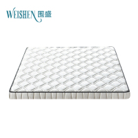 围盛 椰棕床垫 80*200*10cm-云舒白 张