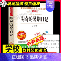陶奇的暑期日记 [正版]祝福 鲁迅作品小说集/爱阅读中小学儿童文学名著阅读书目 9-10-12-15岁五六七八年级现当代