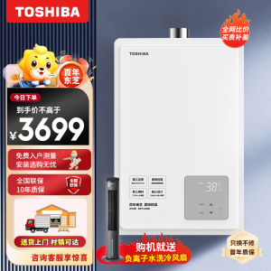 东芝(TOSHIBA)16升燃气热水器 天然气水伺服 3D恒温 进口CPU 下置变频风机 大白梨TL10