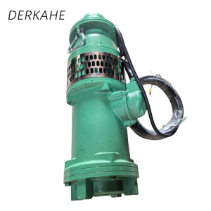 DERKAHE 油浸式潜水电泵 QY40-12-2.2 台