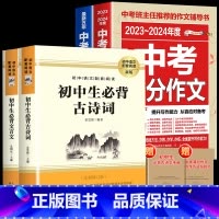 全4册 初中必背古诗词+文言文+中考满分作文 [正版]2024新版初中必背古诗文和文言文全解一本通人教版 古诗词译注与