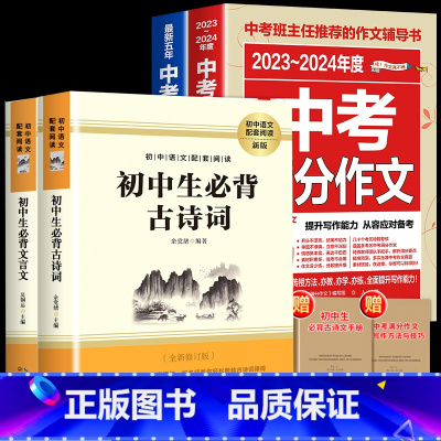 全4册 初中必背古诗词+文言文+中考满分作文 [正版]2024新版初中必背古诗文和文言文全解一本通人教版 古诗词译注与