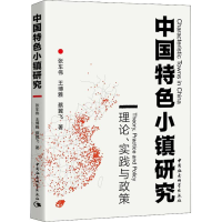 音像中国特色小镇研究 理论、实践与政策张车伟,王博雅,蔡翼飞