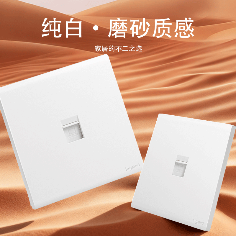 罗格朗/LEGRAND 一位电脑插 F6R/C01 个