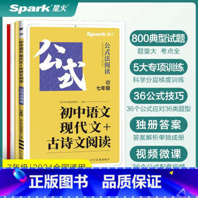现代文+古诗文阅读 国一/初中一年级 [正版]2024新星火初中语文现代文古诗文阅读七年级语文阅读理解专项训练文言文现代