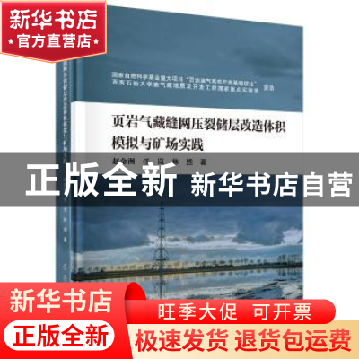 正版 页岩气藏缝网压裂储层改造体积模拟与矿场实践 赵金洲 科学