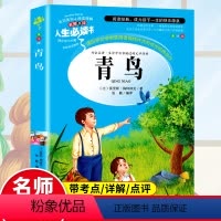 [四年级配套书单]青鸟 [正版]中国古代神话故事四年级阅读课外书籍必读经典书目人民儿童文学教育读物山东美术出版社快乐读书