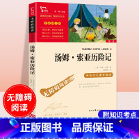 汤姆索亚历险记 [正版]汤姆索亚历险记六年级下册原著彩图版小学生课外阅读书籍目四五年级儿童文学故事经典名著智慧熊励志版无