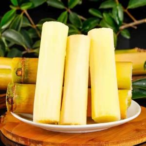 [西沛生鲜]云南特产新鲜黄金甘蔗 净重3斤 当季新鲜水果 口感清甜