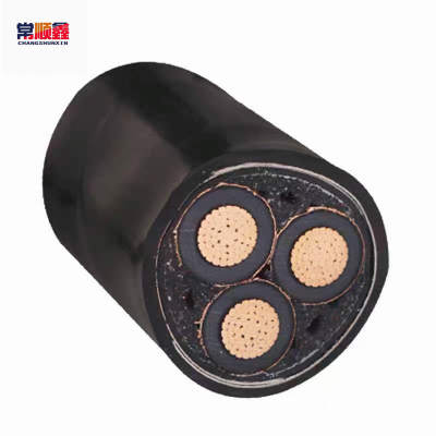常顺鑫 铜芯电缆YJV22 3×50 米