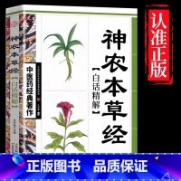 神农本草经 [正版]全4册中医书籍大全药王孙思邈+神医华佗+医祖扁鹊+医圣张仲景中医基础理论本草纲目黄帝内经中医四大名著