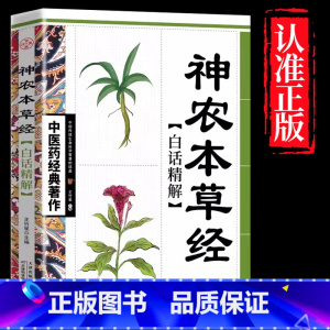 神农本草经 [正版]全4册中医书籍大全药王孙思邈+神医华佗+医祖扁鹊+医圣张仲景中医基础理论本草纲目黄帝内经中医四大名著