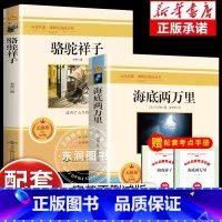 海底两万里+骆驼祥子 送考点手册(2册) [正版]七年级下册课外书必读10册海底两万里骆驼祥子老舍原著完整版初中生紫藤萝