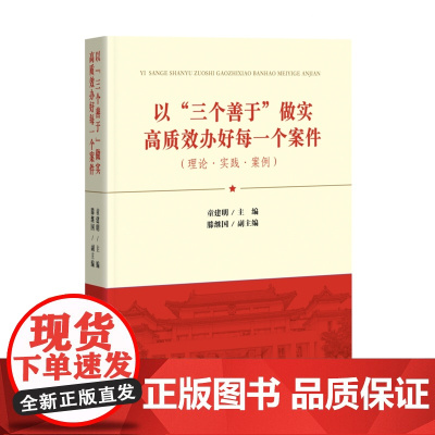 正版 以“三个善于”做实高质效办好每一个案件 童建明 主编 滕继国 副主编 中国检察出版社 9787510231957