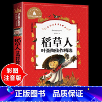 稻草人 [正版]兔子坡注音版 适合小学生一年级二年级三年级下册课外书的书目老师经典书籍上册儿童漫画绘本故事书全套新蕾出版