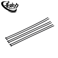 景欧力 黑色尼龙扎带 JOL-5300(100根) 包