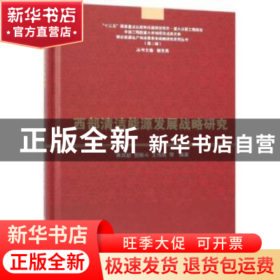 正版 西部清洁能源发展战略研究 黄其励 科学出版社 978703060405