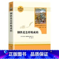 钢铁是怎样炼成的 初中通用 [正版]经典常谈朱自清钢铁是怎样炼成的和傅雷家书原版原著八年级下册课外书必读完整版初二阅读书