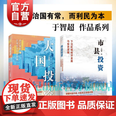 市县投资:下沉区域经济发展与投资逻辑/大国投资:时代赋能与区域经济均衡发展 于智超作品投资新视界丛书上海人民出版社经济理