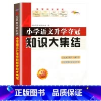 语文 小学升初中 [正版]新版小学语文升学夺冠知识大集结小升初知识大集结专项训练题总复习资料知识大全归纳六年级小学升初中