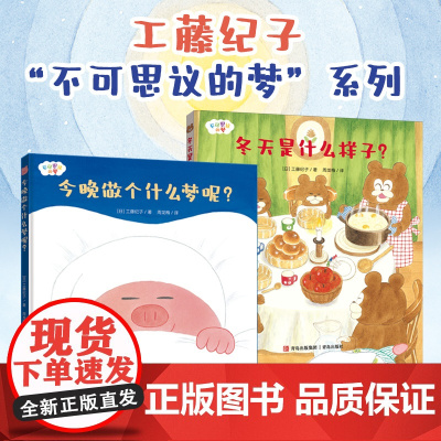 不可思议的梦 + 今晚做个什么梦+ 冬天是什么样子 工藤纪子儿童睡前亲子故事书3-6岁儿童绘本亲子睡前共读故事书