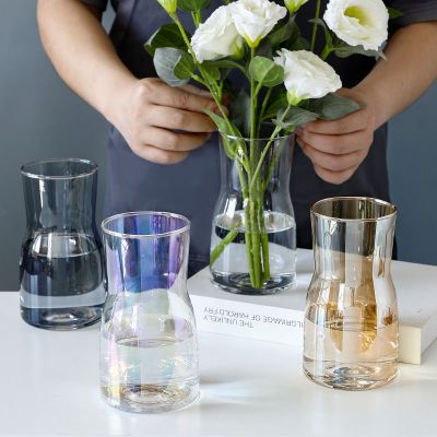 敬平北欧简约电镀变色玻璃插花花瓶摆件房间客厅装饰品水培假花小花瓶电镀七彩花瓶2个装-