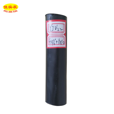 傻实在(SHASHIZAI) 电缆 国标全项保检 YJV22 4*16+1*10 米