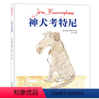 神犬考特尼 [正版]神犬考特尼 蒲蒲兰绘本 精装硬壳 约翰·伯宁罕 3-6岁儿童绘本情感交流成长想象平等生命观爱与善意幼