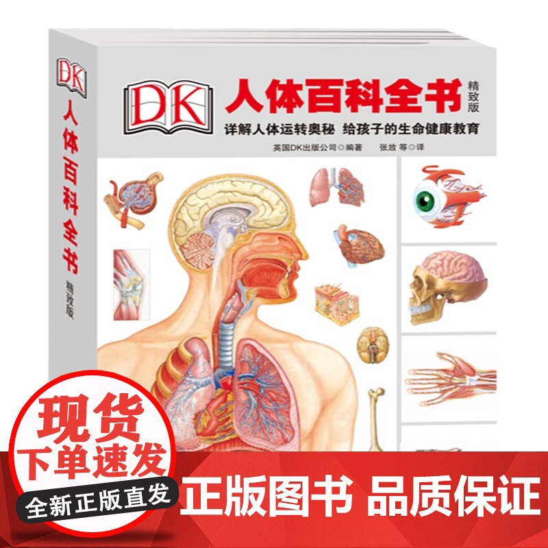 精装升级版DK人体百科全书海量图片揭秘我们的身体骨骼结构图解以文字为孩子探索认识人体科普打开兴趣四五年级课外书读绘本
