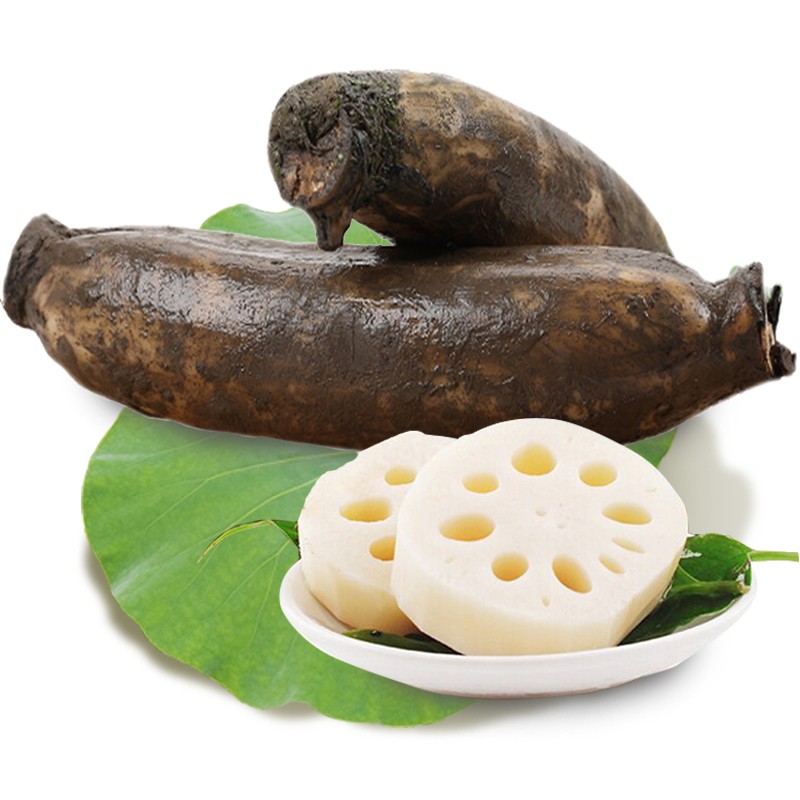5kg(洪湖粉藕) 洪湖莲藕 新鲜莲藕湖北特产带泥新花藕清炒即食脆藕菜