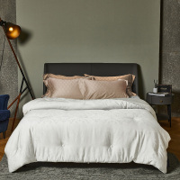 天山柔 150*200cm/200*230cm/220*240cm 尊爵抗菌大豆被 (计价单位:床) 多色