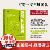 高效团队建设(打造一支常胜团队)/EFFECTIVE高效