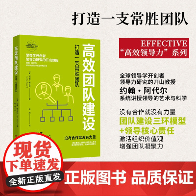 高效团队建设(打造一支常胜团队)/EFFECTIVE高效
