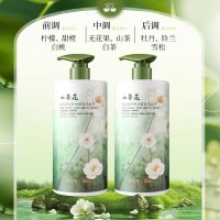 雪贝卡控油洗发水c1