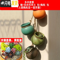 三维工匠悬挂壁挂麻绳多肉绿萝吊兰垂吊佛珠花盆吊盆仿古陶瓷创意个性 款一+5棵随机多肉+土+防漏垫+挂钩+1包铺面花盆容器