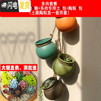三维工匠悬挂壁挂麻绳多肉绿萝吊兰垂吊佛珠花盆吊盆仿古陶瓷创意个性 款一+5棵随机多肉+土+防漏垫+挂钩+1包铺面花盆容器