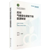音像应对气候变化背景下的能源转型张继宏,李锴,谭秀杰等编著