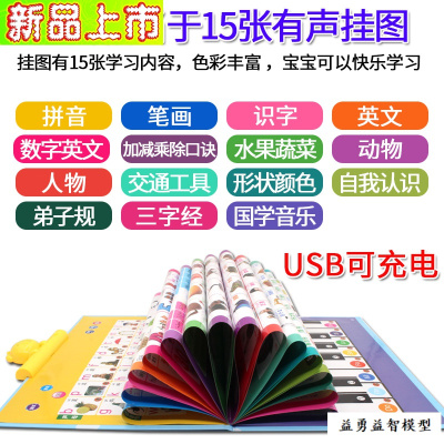 幼儿童小孩子学字认识汉语拼音字母表有声挂图全套启蒙一年级发声白中英文点读挂本(1套15张)
