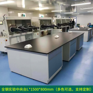 DXBG全钢实验台钢木PP边台柜试验台化验室工作台实验室桌操作台定制(每米单价)[工厂现做 7天内发货]