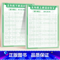 [5年级]满分练字帖上册+下册 [正版]满分作文练字贴小学生字帖每日一练三年级四五六年级上册下册语文同步专项训练练习簿好