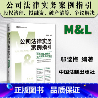 [正版]2023新书 公司法律实务案例指引 股权治理 投融资 清算 争议解决 M&L 邬锦梅 企业管理与法律实务操