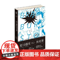 夏日遇见狄更斯 雷布拉德伯里 著 小说