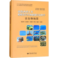 [M]南海西科1井碳酸盐岩生物礁储层沉积学 古生物地层-9787562539827
