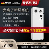 诺森柏格 新风系统 壁挂式全新升级款 负离子智能除甲醛 全屋通风换气 热交换技术 空气消毒机 幼儿园专用NCBG450F