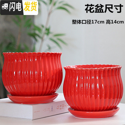 三维工匠大号花盆红色中国风陶瓷创意带托盘个性简约特大绿萝吊兰多肉花盆 207(尊贵红)大号两个 大花盆容器