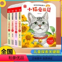 神奇动物触摸书4册 [正版]神奇动物触摸书全套4册绘本0到3岁婴儿益智早教翻翻书老师适合4一6岁宝宝触感刺激机关书中英双