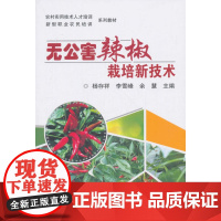 无公害辣椒栽培新技术
