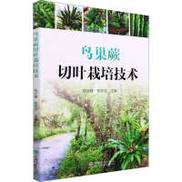 正版新书]鸟巢蕨切叶栽培技术杨光穂 张东雪 主编9787521915990