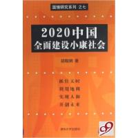 正版新书]2020中国全面建设小康社会/国情研究系列胡鞍钢9787302